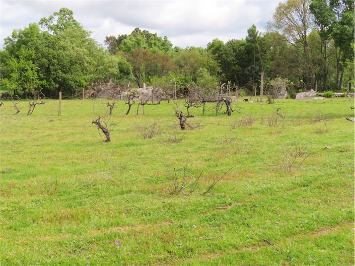 Image No.38-Property for sale