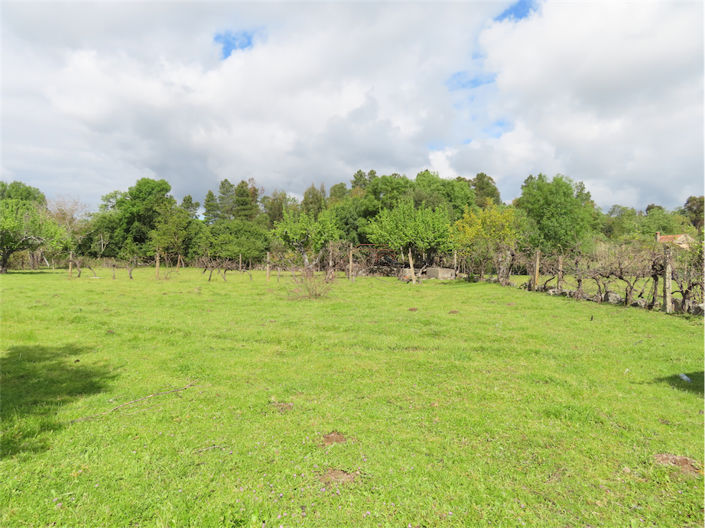 Image No.4-Property for sale