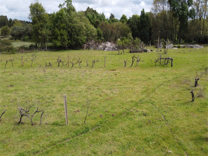 Image No.40-Property for sale