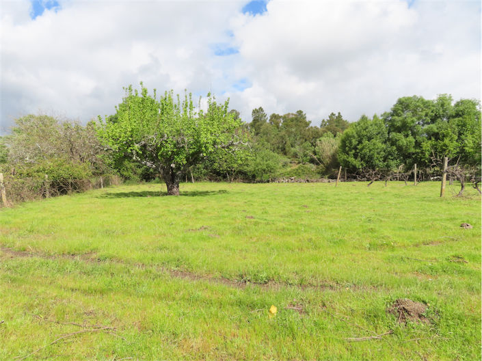 Image No.5-Property for sale