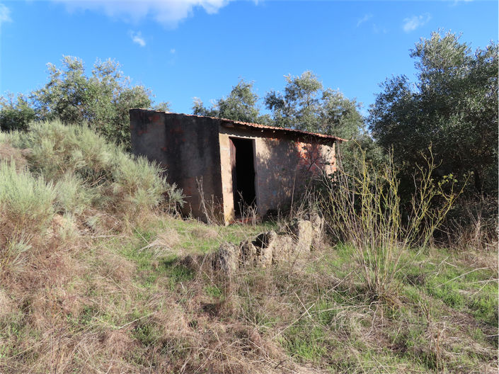 Image No.1-Property for sale