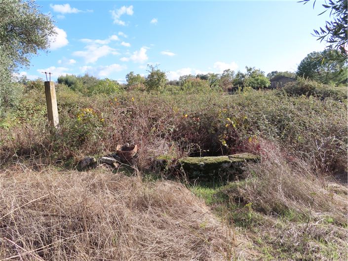 Image No.10-Propriété à vendre à Castelo Branco