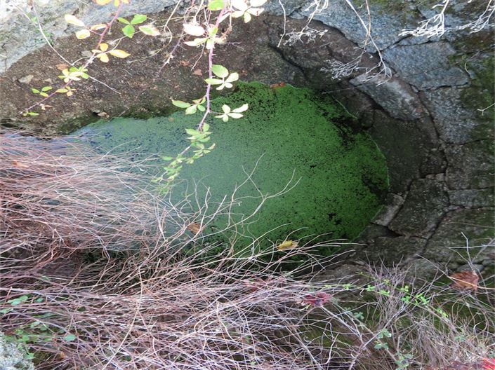 Image No.11-Propriété à vendre à Castelo Branco