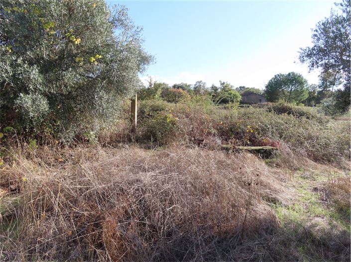 Image No.12-Propriété à vendre à Castelo Branco