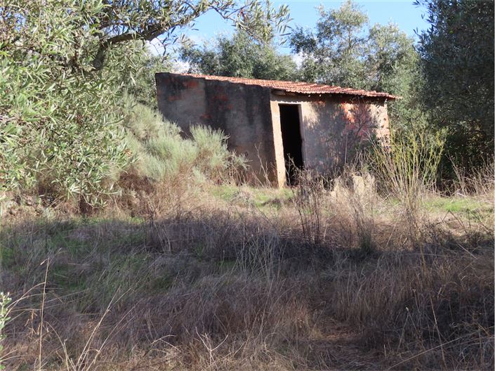 Image No.13-Propriété à vendre à Castelo Branco