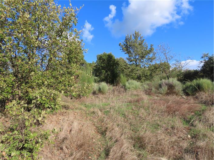 Image No.14-Propriété à vendre à Castelo Branco