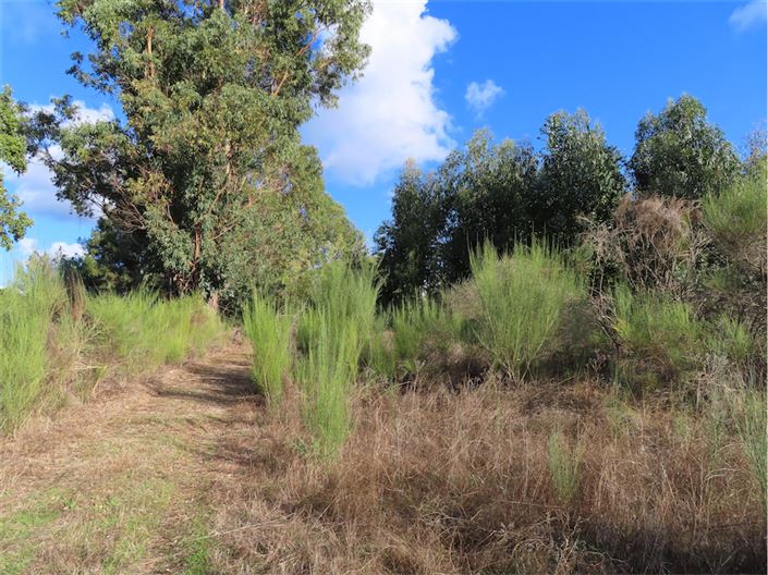 Image No.20-Propriété à vendre à Castelo Branco