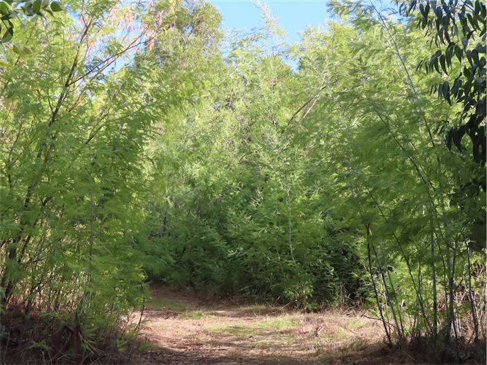 Image No.21-Propriété à vendre à Castelo Branco