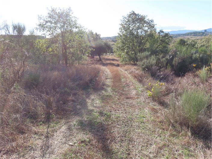 Image No.3-Propriété à vendre à Castelo Branco