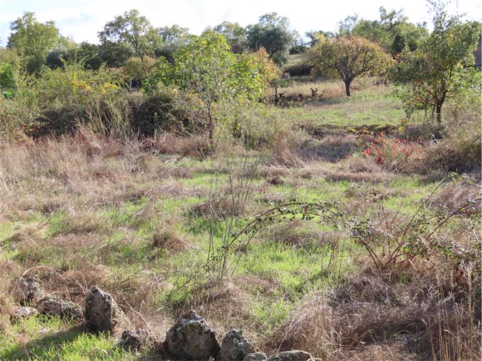 Image No.5-Propriété à vendre à Castelo Branco