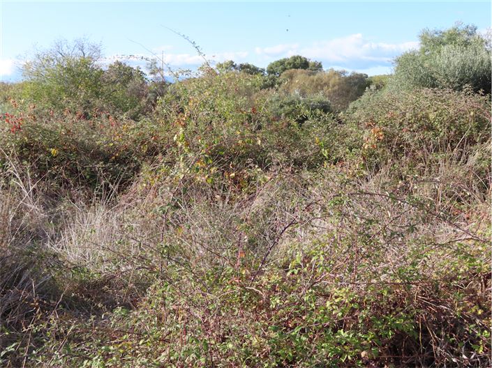 Image No.6-Propriété à vendre à Castelo Branco