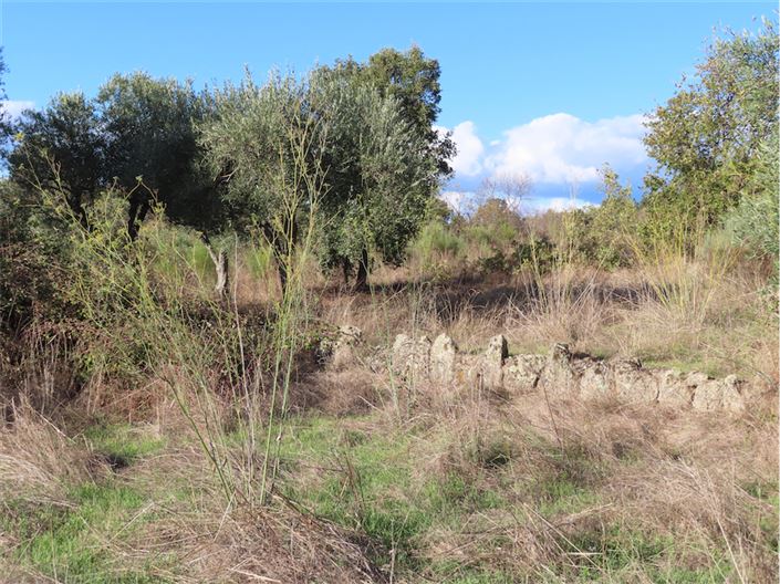 Image No.7-Propriété à vendre à Castelo Branco