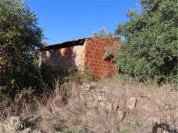 Image No.8-Propriété à vendre à Castelo Branco