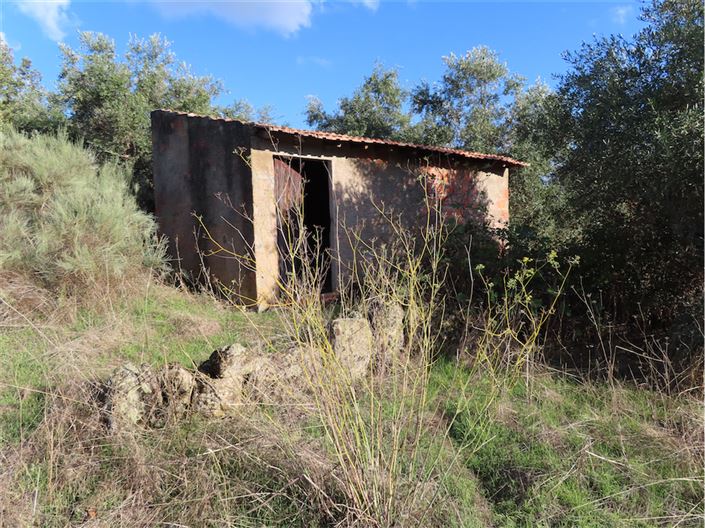 Image No.9-Propriété à vendre à Castelo Branco