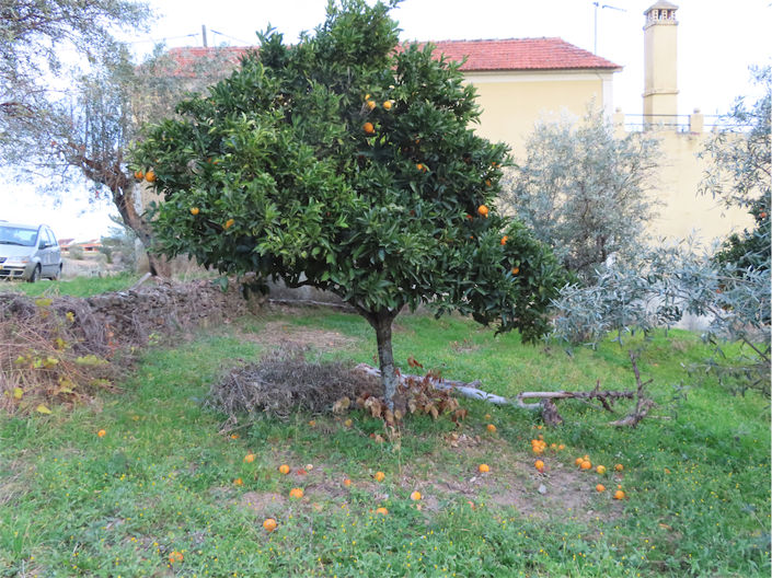 Image No.1-3 Bed Property for sale