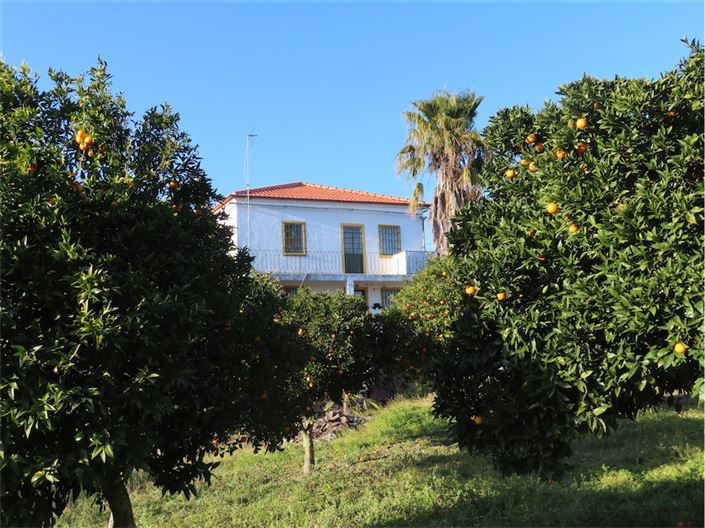 Image No.5-6 Bed Property for sale