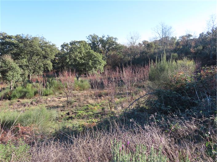 Image No.10-Property for sale