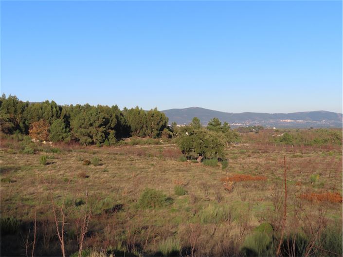 Image No.17-Property for sale