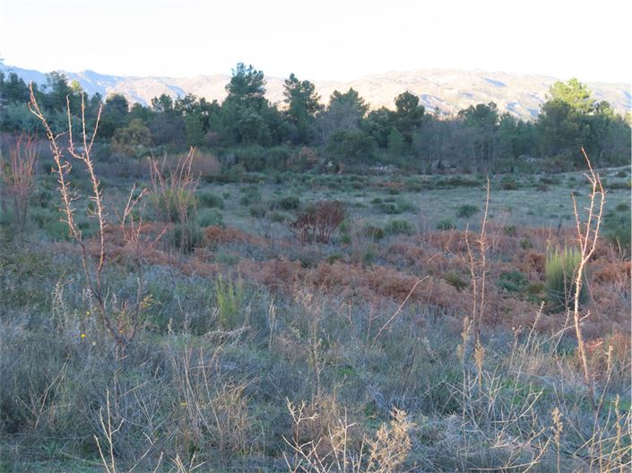 Image No.18-Property for sale