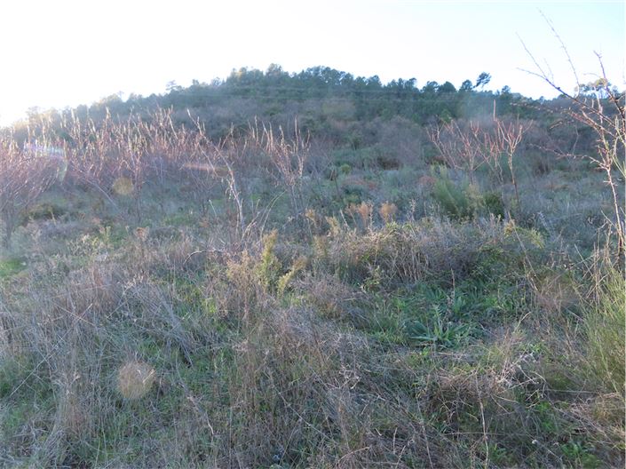 Image No.19-Property for sale