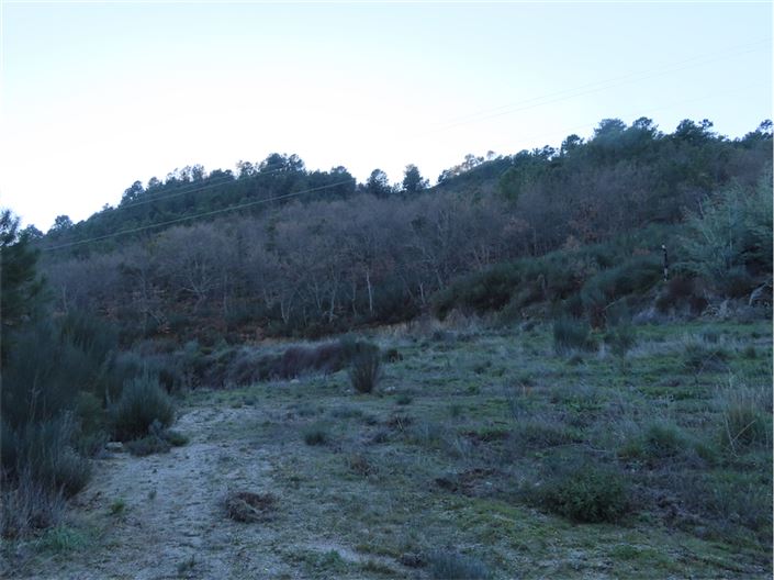 Image No.36-Property for sale