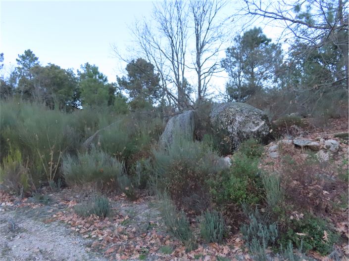 Image No.37-Property for sale