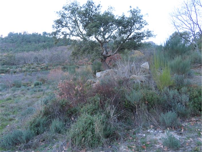 Image No.39-Property for sale