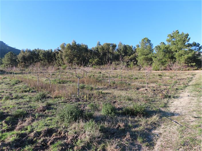 Image No.4-Property for sale