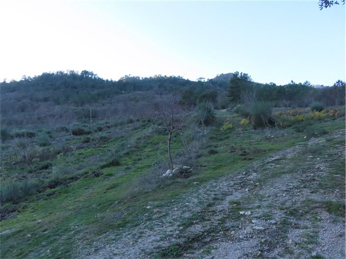 Image No.42-Property for sale