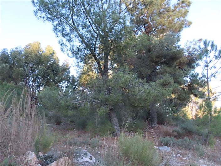 Image No.43-Property for sale