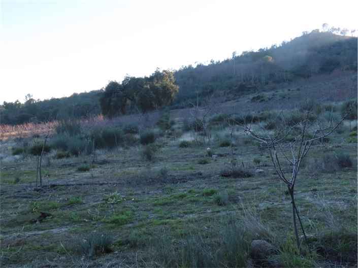 Image No.44-Property for sale