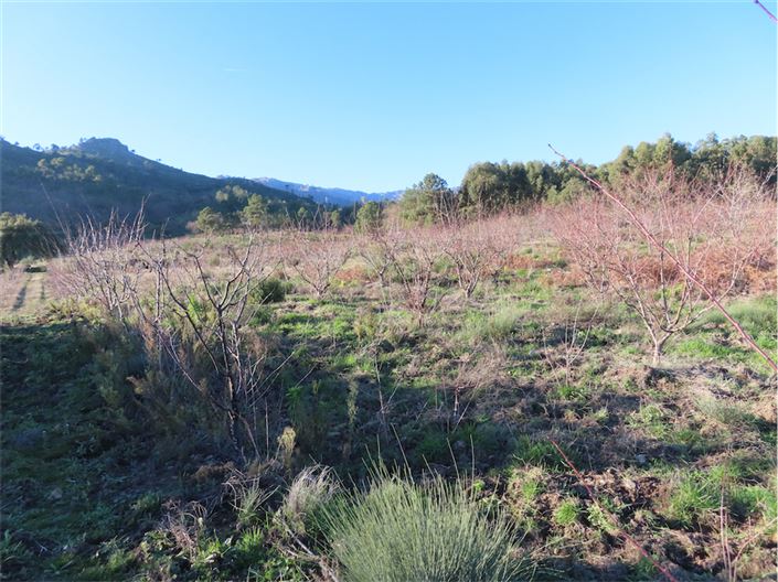 Image No.7-Property for sale