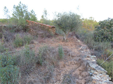 1 - Castelo Branco, Propriété