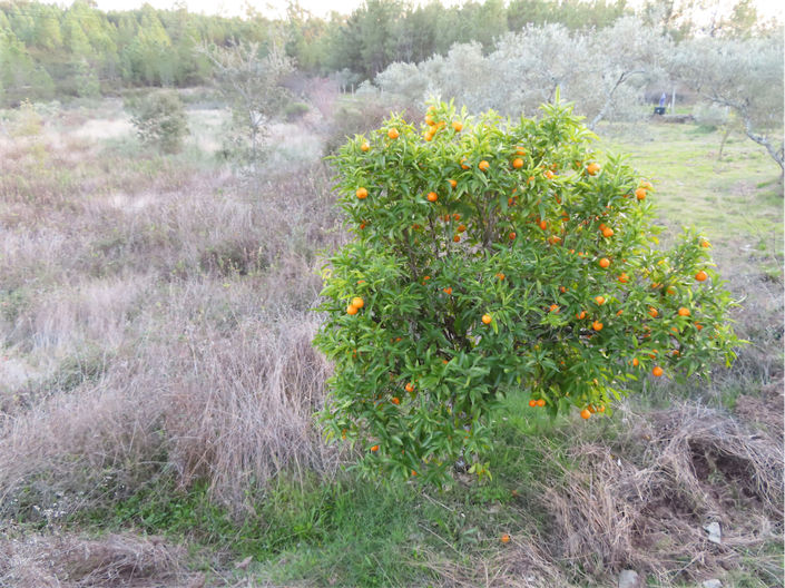 Image No.11-Property for sale