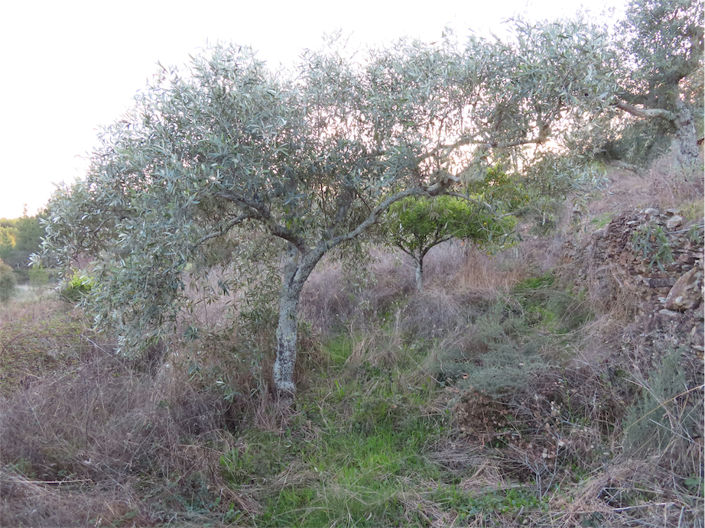 Image No.17-Property for sale