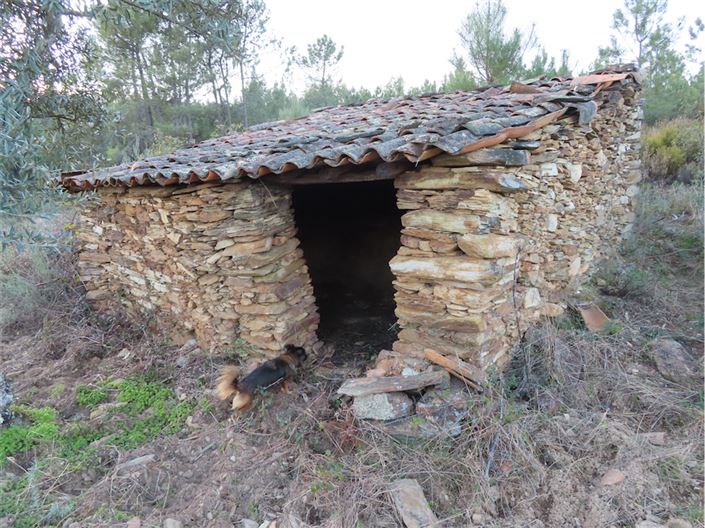 Image No.1-Property for sale