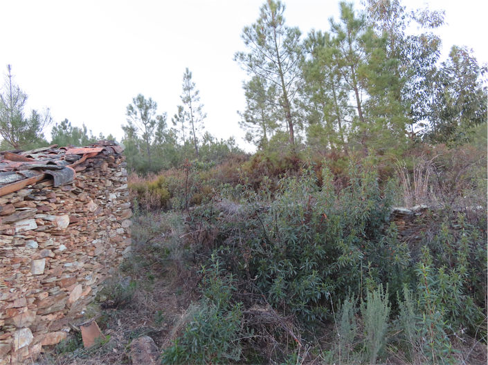 Image No.6-Property for sale