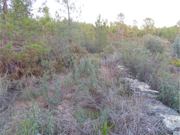 Image No.8-Property for sale