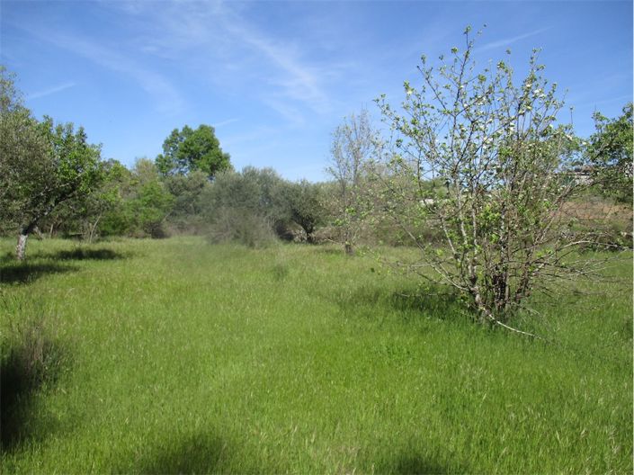 Image No.2-Property for sale