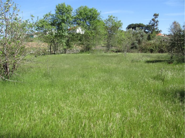 Image No.3-Property for sale