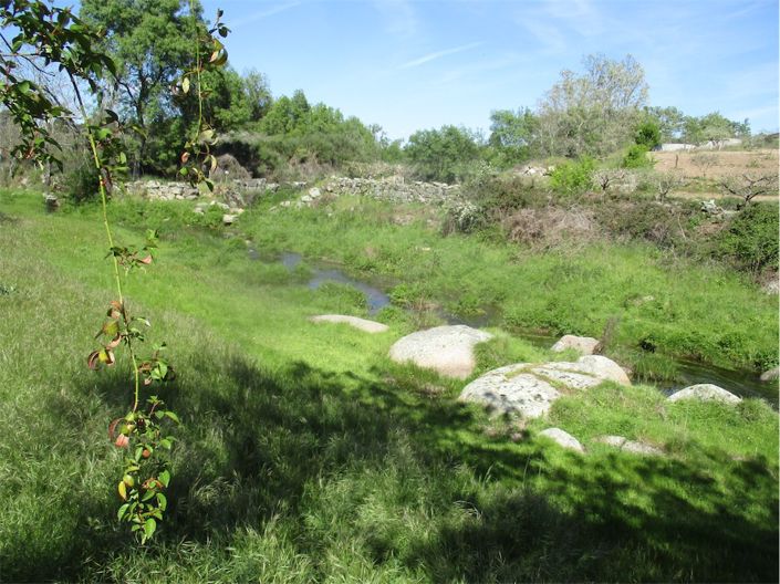 Image No.6-Property for sale