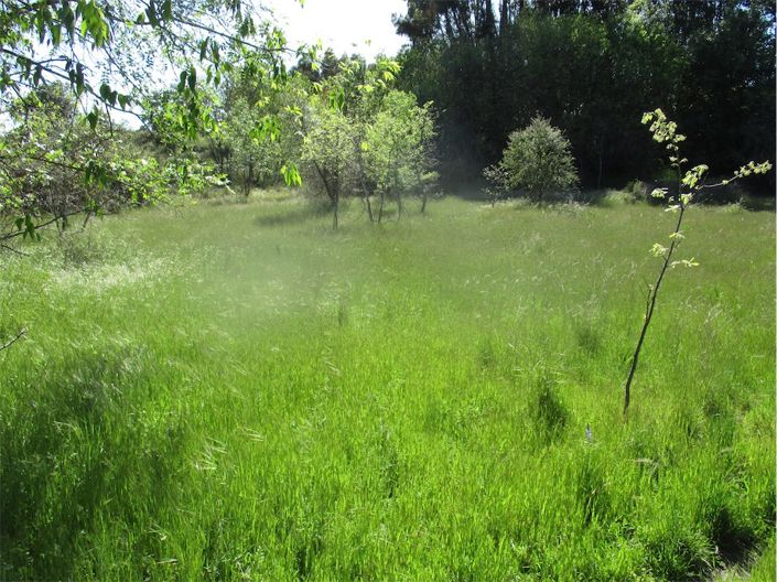 Image No.8-Property for sale