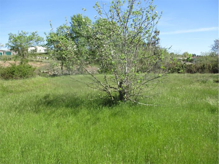 Image No.9-Property for sale