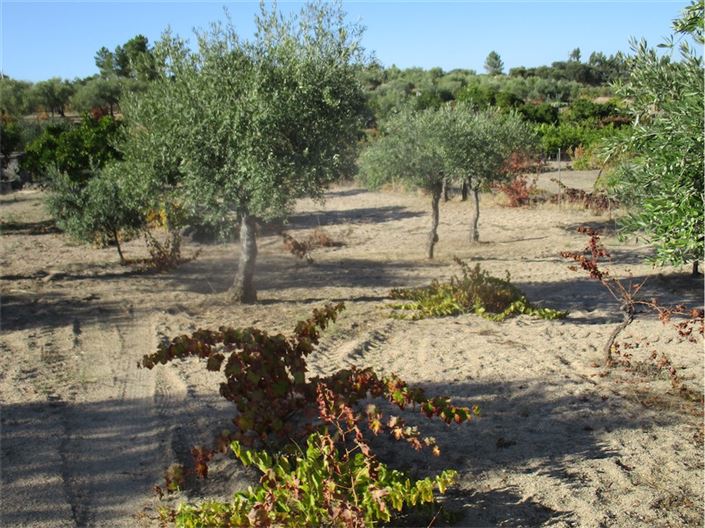 Image No.10-Property for sale