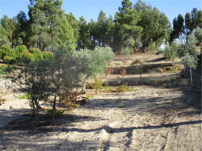 Image No.11-Property for sale