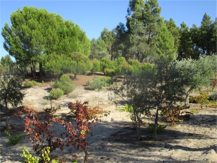 Image No.12-Property for sale