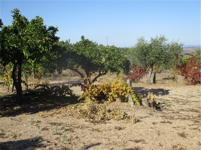 Image No.13-Property for sale