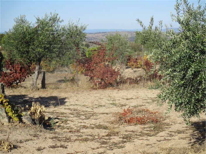 Image No.14-Property for sale