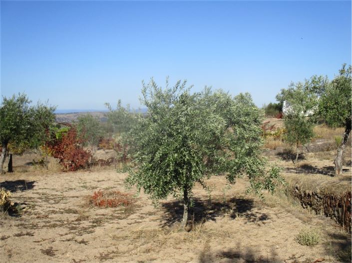 Image No.15-Property for sale