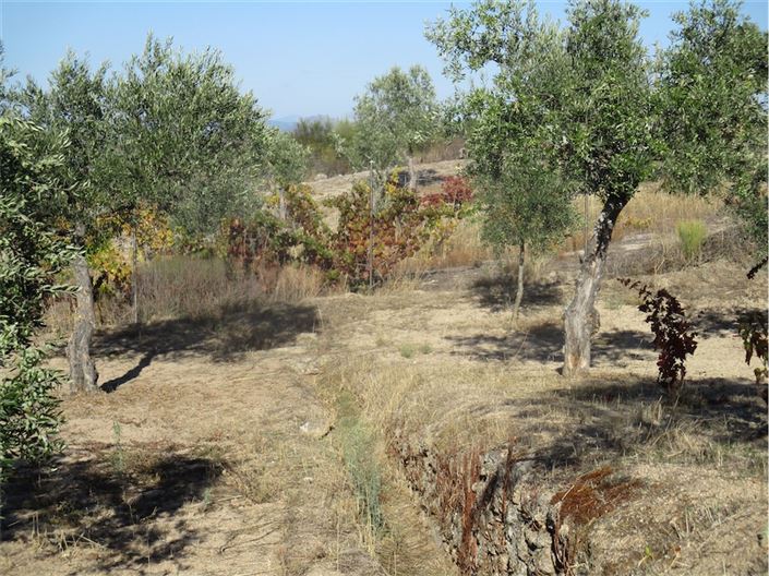 Image No.16-Property for sale